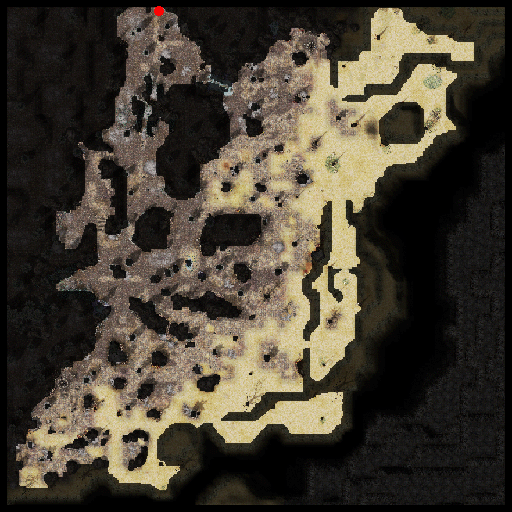 Forest of the Gray Wolf