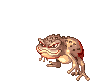 Poison Toad